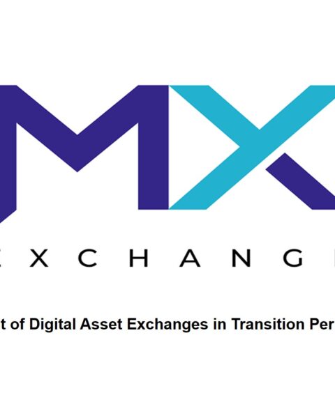 List of Digital Asset Exchanges in Transition Period