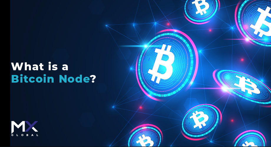 06_What-is-a-Bitcoin-Node-op1